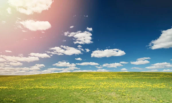 Mavi Gökyüzü Bulutlarla Güneşli Bir Günde Yeşil Tarla — Stok fotoğraf