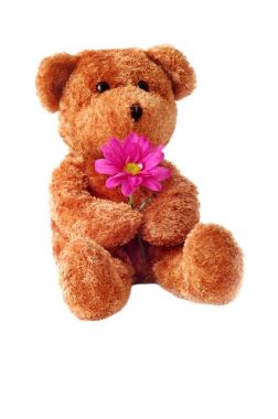 Mevagissey liman Cornwall Birleşik Krallık. 