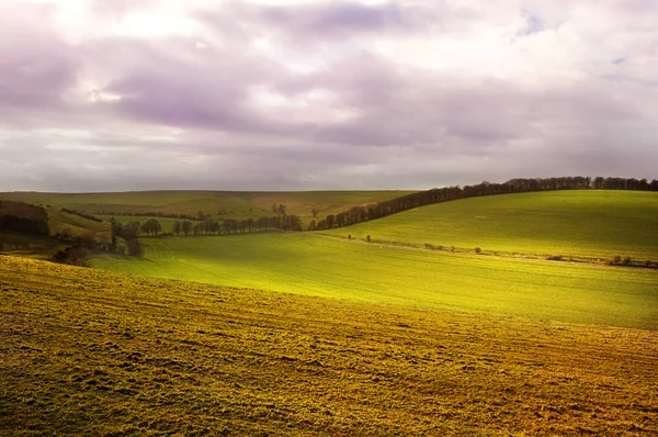 Podzimní krajina v Somersetu — Stock fotografie