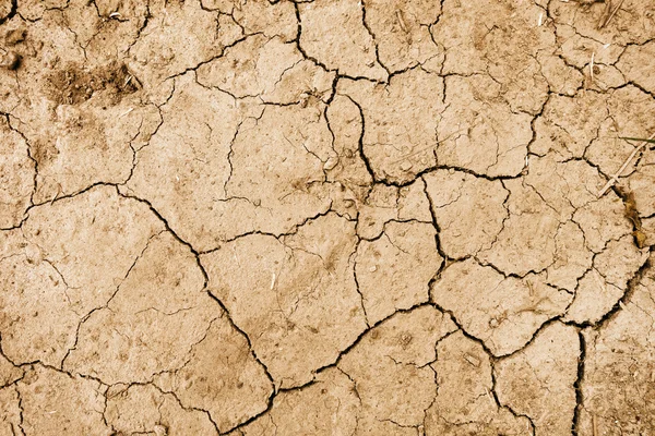 dry mud background texture