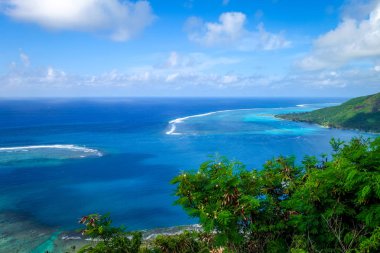 Opunohu Körfezi ve lagün Moorea Adası havadan görünümü