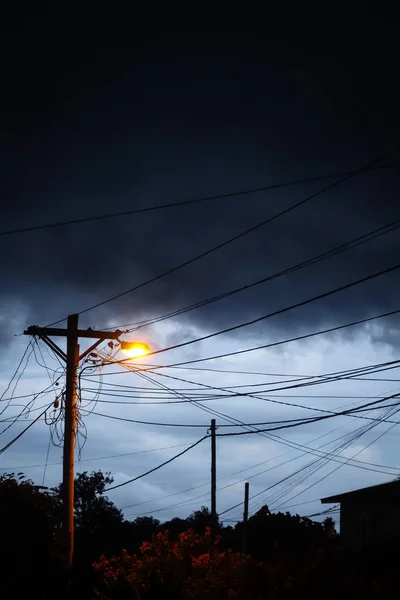 Veřejné osvětlení v noci s pozadím v Quinault — Stock fotografie