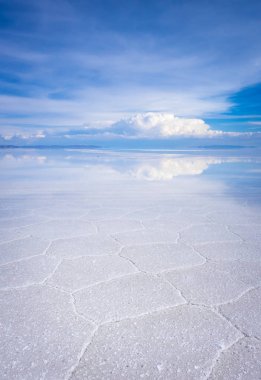 Salar de Uyuni Çölü, Bolivya