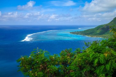 Opunohu Körfezi ve lagün Moorea Adası havadan görünümü