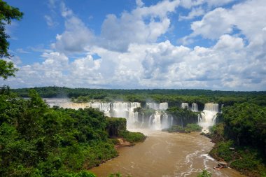 iguana falls, Arjantin