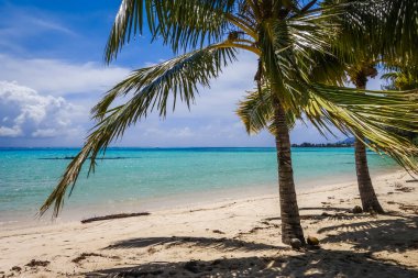 Cennet tropikal plaj ve lagün Moorea Adası