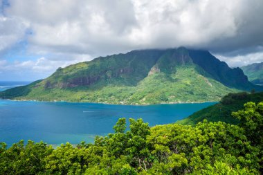 Opunohu Körfezi ve lagün Moorea Adası havadan görünümü