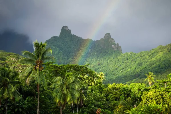 彩虹在莫雷阿岛丛林和山地景观 — 图库照片