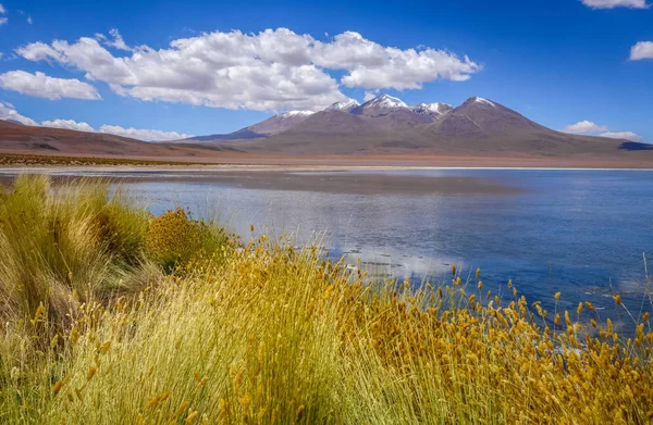 Altiplano laguna in sud Lipez reserva, Bolivia — Stok fotoğraf