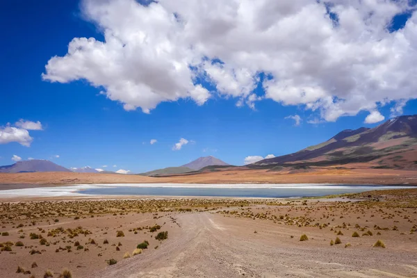 Altiplano laguna in sud Lipez reserva, Bolivia — Foto Stock