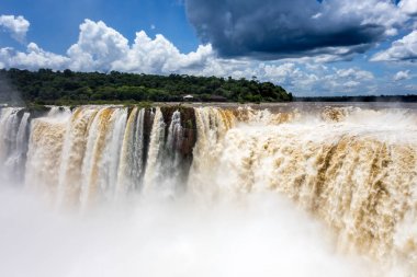 iguana falls, Argentina clipart