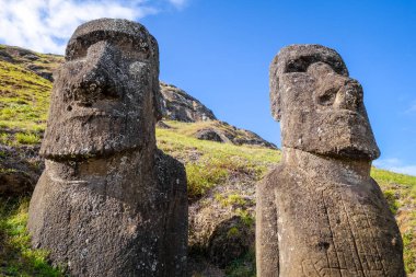 Moais heykeller Rano Raraku volkan, Paskalya Adası üzerinde