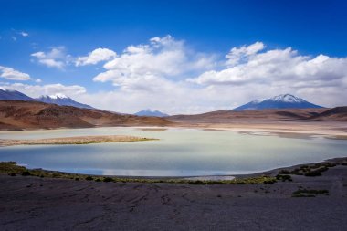 Laguna Honda in sud Lipez Altiplano reserva, Bolivia