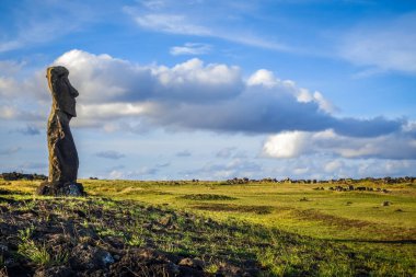 Moai statue, ahu akapu, easter island clipart