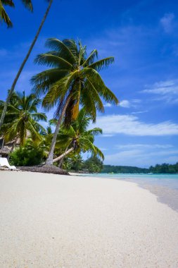 Paradise tropical beach and lagoon in Moorea Island clipart