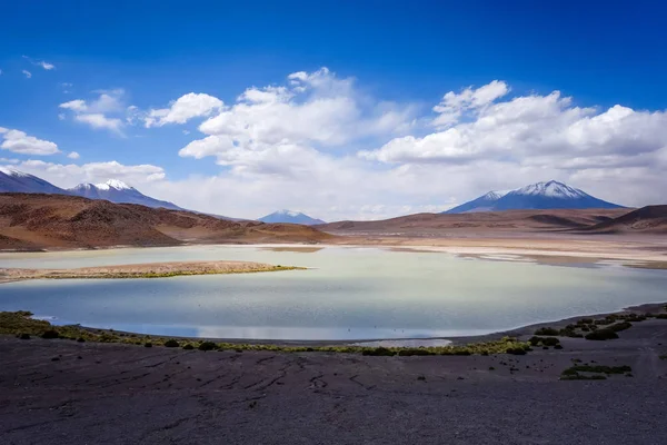 Laguna Honda in sud Lipez Altiplano reserva, Bolivia — Stok fotoğraf