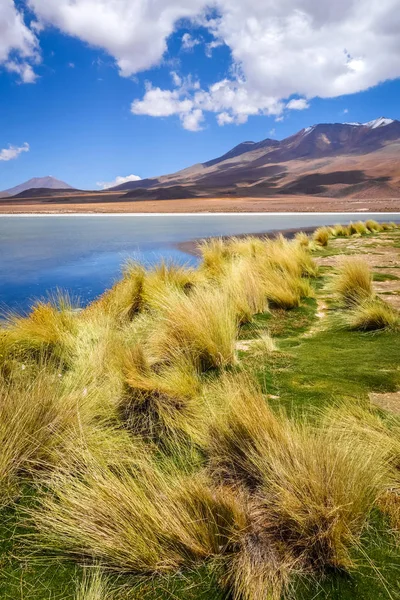 Altiplano laguna in sud Lipez reserva, Bolivia — Stok fotoğraf