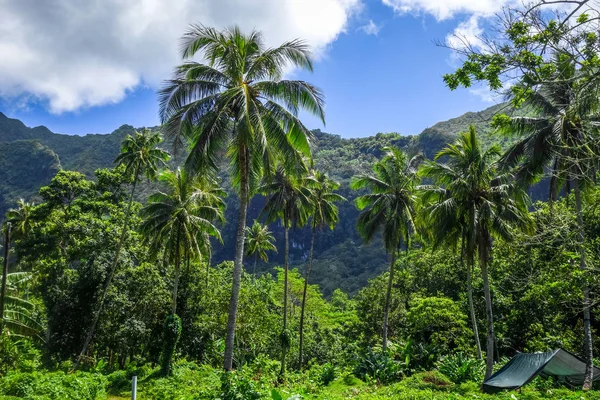 Moorea île jungle et montagnes vue paysage — Photo