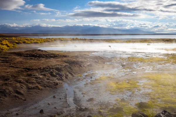 Lake in sol de manana geothermal field, sud Lipez reserva, Boliv — Stock Photo, Image