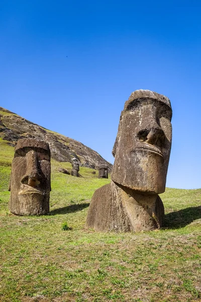 Moais posągi na wulkanu Rano Raraku, Wyspa Wielkanocna — Zdjęcie stockowe