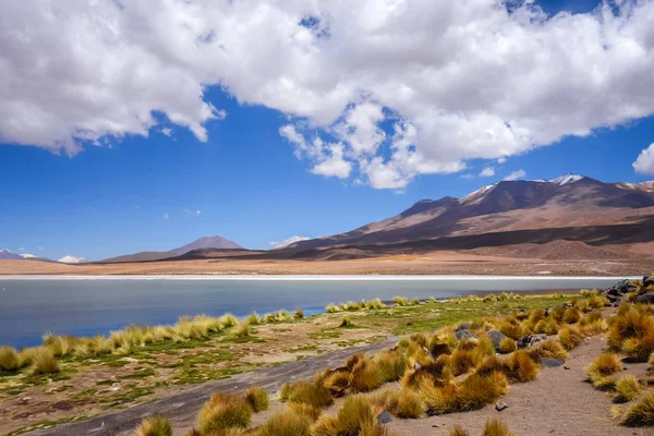 Altiplano laguna in sud Lipez reserva, Bolivia — Foto de Stock