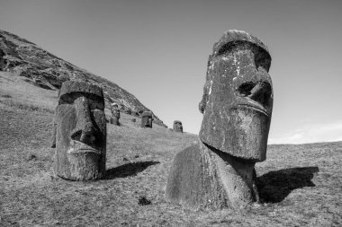 Moais heykeller Rano Raraku volkan, Paskalya Adası üzerinde. Siyah ve w