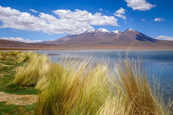 Altiplano laguna in sud Lipez reserva, Bolivia — Stok fotoğraf