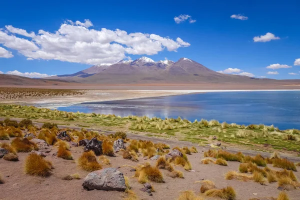Altiplano laguna in sud Lipez reserva, Bolivia