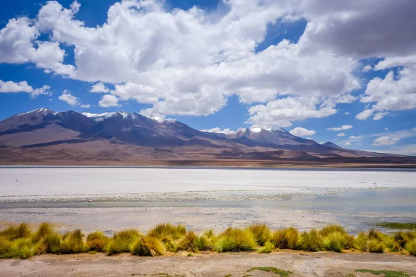 Laguna Honda en sud Lipez Altiplano reserva, Bolivia — Foto de Stock