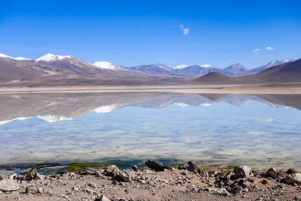 Sud Lipez reserva, Bolivya açık altiplano laguna — Stok fotoğraf