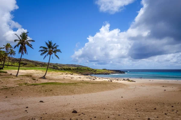 Palmiers sur la plage d'Anakena, île de Pâques — Photo