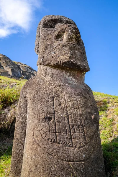 Moai statue on Rano Raraku volcano, easter island — Stock Photo, Image