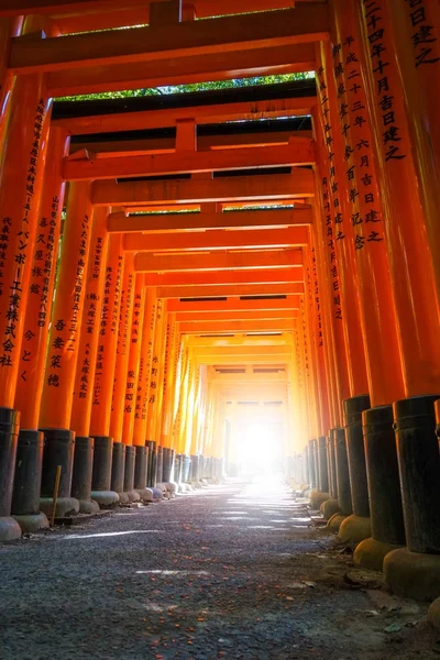 Fushimi Inari-Taisha Torii, Kyoto, Japan — Stockfoto