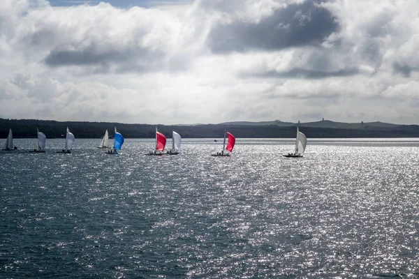 Vitorlás hajó Auckland, Új-Zéland — Stock Fotó