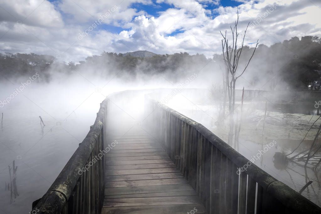 Bridge on a misty lake in Rotorua, New Zealand