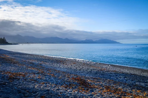 Kaikoura coast and beach, New Zealand — Stock Photo, Image