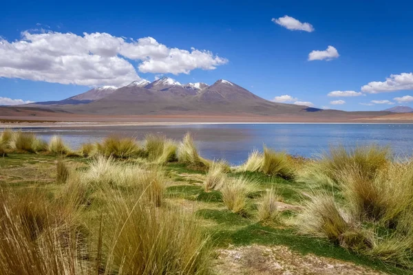 Altiplano laguna in sud Lipez reserva, Bolivia — Stok fotoğraf