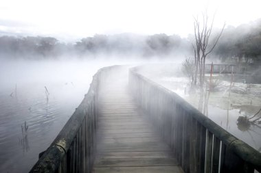 Köprüde puslu lake Rotorua, Yeni Zelanda