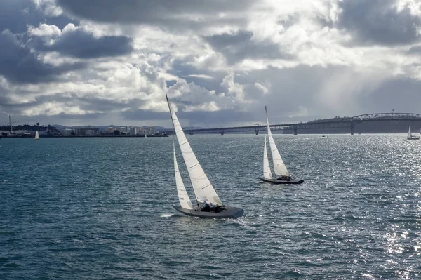 海とセーリング船、ニュージーランドからオークランド ブリッジ ビュー — ストック写真