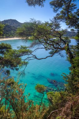 Parça görünümü Abel Tasman Ulusal Parkı, Yeni Zelanda