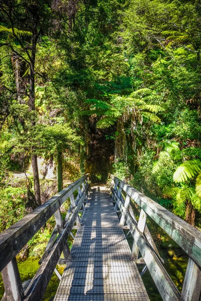 Ponte su un fiume. Parco nazionale di Abel Tasman, Nuova Zelanda — Foto Stock