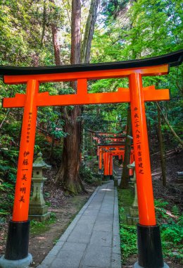 Fushimi Inari Taisha yakın, Kyoto, Japonya