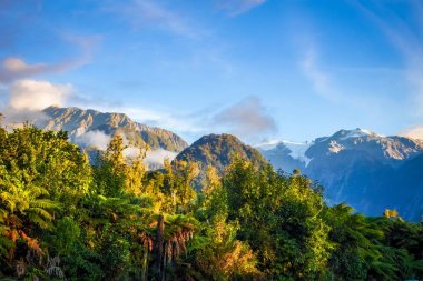 Franz Josef glacier ve yağmur ormanı, Yeni Zelanda