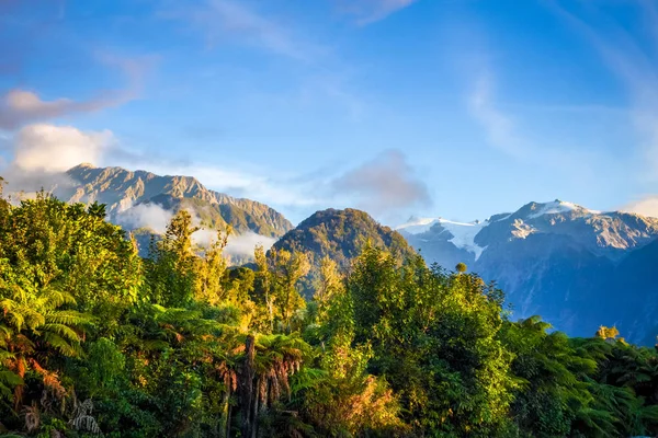 Franz Josef glacier i lasów tropikalnych, Nowa Zelandia — Zdjęcie stockowe