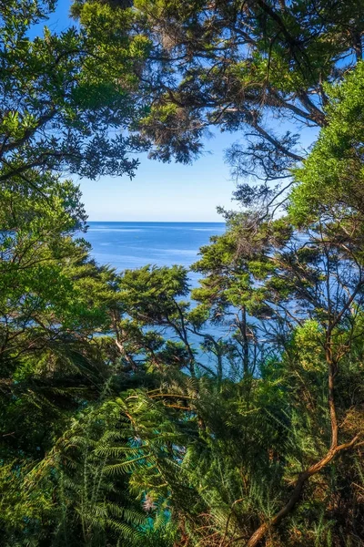 Gleisansicht im Nationalpark Tasman, Neuseeland — Stockfoto