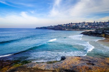 Bronte ve Tamarama plajları, Sidney, Avustralya