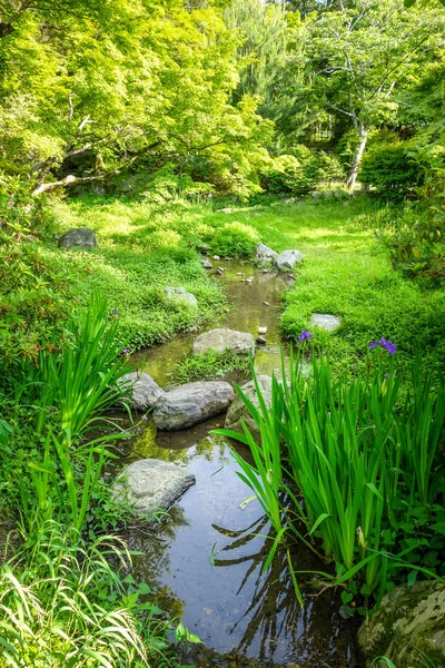 Maruyama ιαπωνικό κήπο, Κιότο, Ιαπωνία — Φωτογραφία Αρχείου