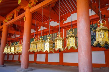 Kasuga-Taisha tapınak Tapınak, Nara, Japonya