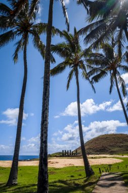Anakena palm beach ve Moais heykeller sitesi ahu Nao Não, easter olduğunu
