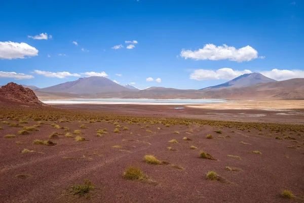 Laguna Honda in sud Lipez Altiplano reserva, Bolivia — Stock Photo, Image